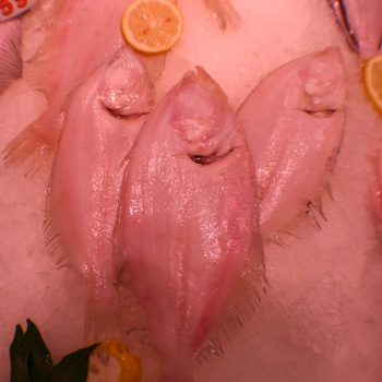 gallo-mariscos-peski